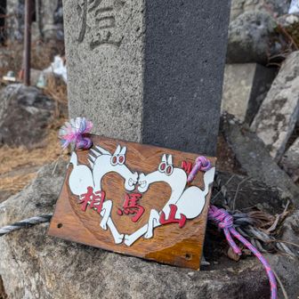 午年🐴記念　
飛ばされないように使った後は括っておきました！