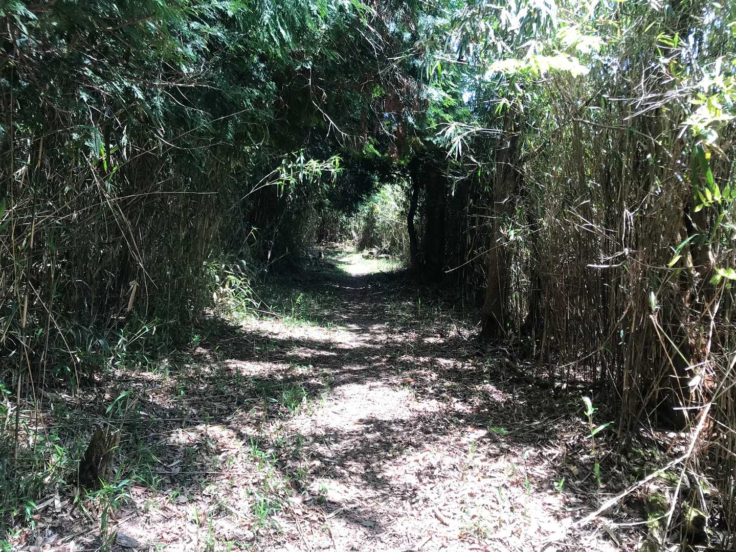 そのあとこんな感じ