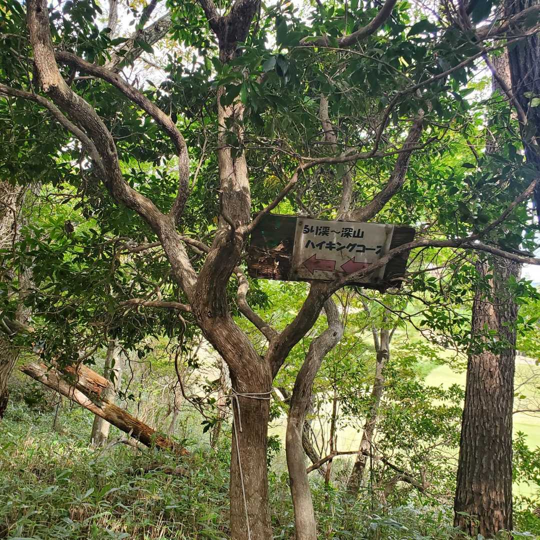 ロープや看板がありわかりやすい