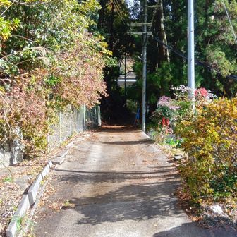新たな登山口👣
