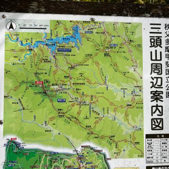 鞘口峠経由で
都民の森🌳バス停へ下山します