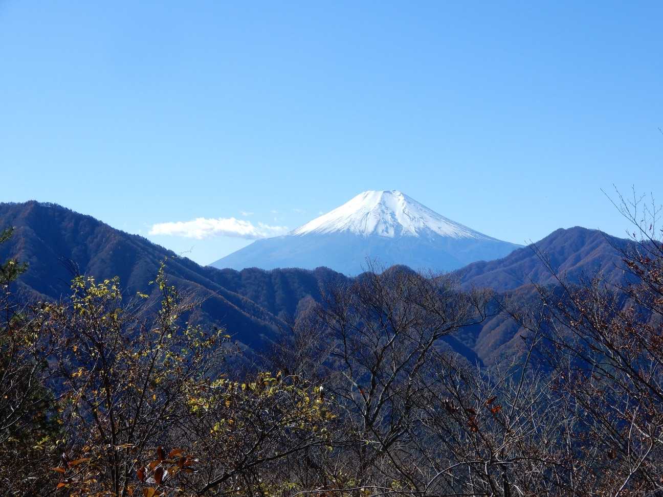 林道からの富士山