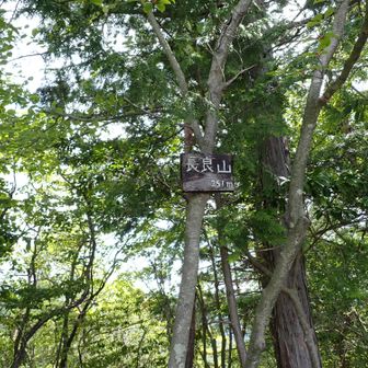 ６座目「長良山」
5月以来の訪問
