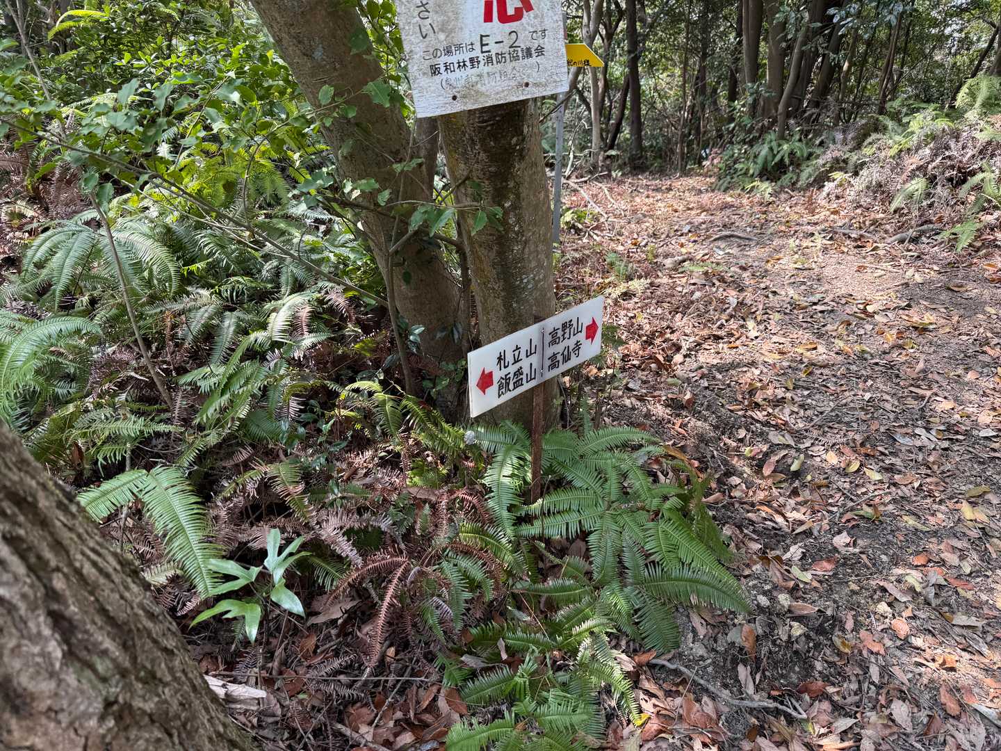 ここで間違った
