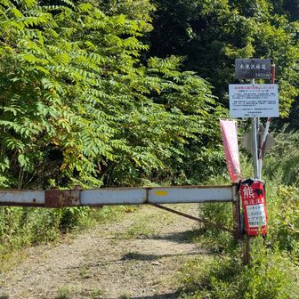 林道から入山