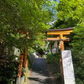 表参道を下って振り返ったところ⛩️
ありがとうございました🙏