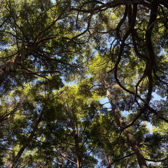 木陰のお陰でかなり助かってます🙏
木陰でも暑い