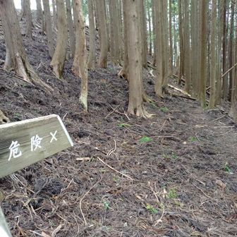 危険…
っつうか、道ねぇじゃん…