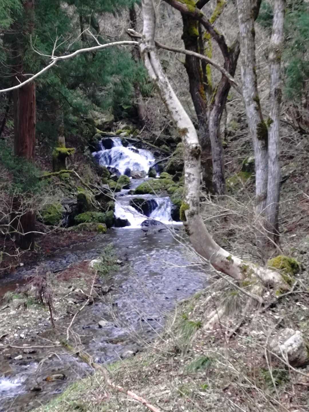 沢の横を通って行きます