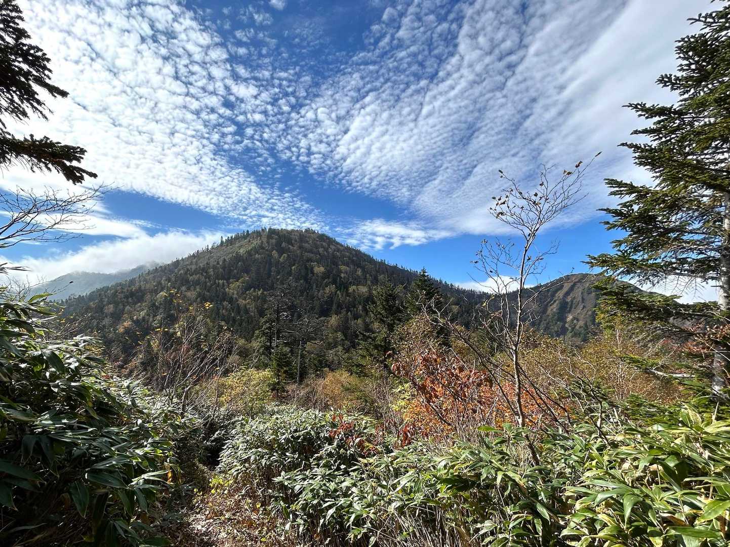 佐武流山（ドロノ木平）の写真
