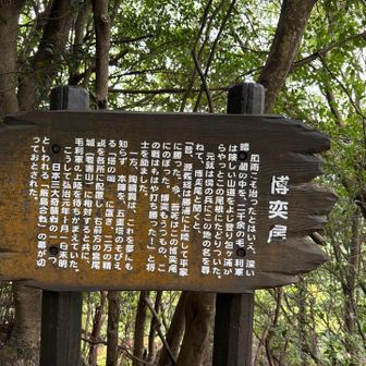 歴史の舞台を歩く🥾
ここ「博奕尾（ばくちお）」は、厳島合戦で毛利軍が進軍した場所⚔️
ただ登るだけじゃなく、歴史を辿りながら歩けるのも宮島・弥山の面白さ✨