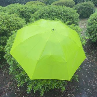 このあたりツツジ山登頂🌺30m