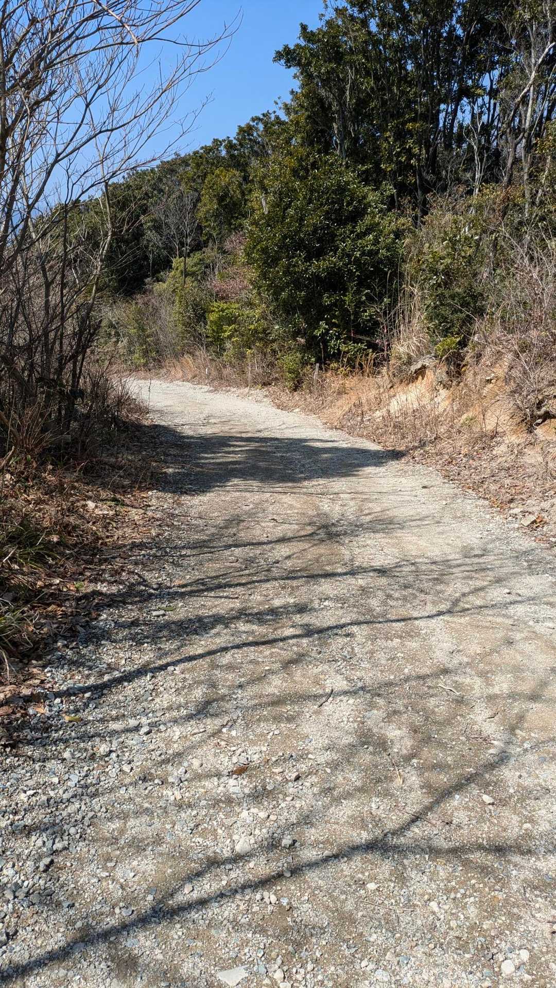 また出て