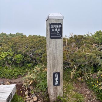 下山する