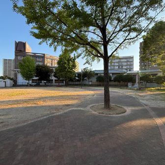 集合場所まで２キロ100up
途中のグレーピークもとりますよ🩶
小伊藤山という名のついた公園でした！