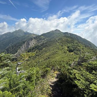 ここから先の稜線がもう絶景で！