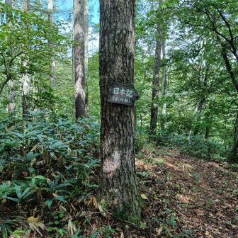 これは何の案内なんだろう？山じゃないよね？