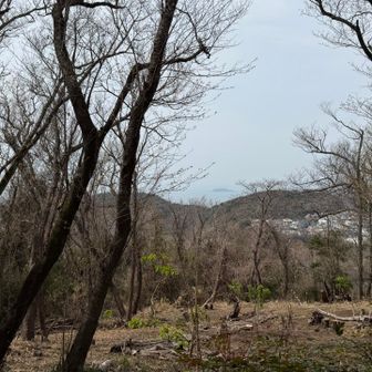 ここからも江ノ島👀
ほんとは富士山も見えるらしいです
