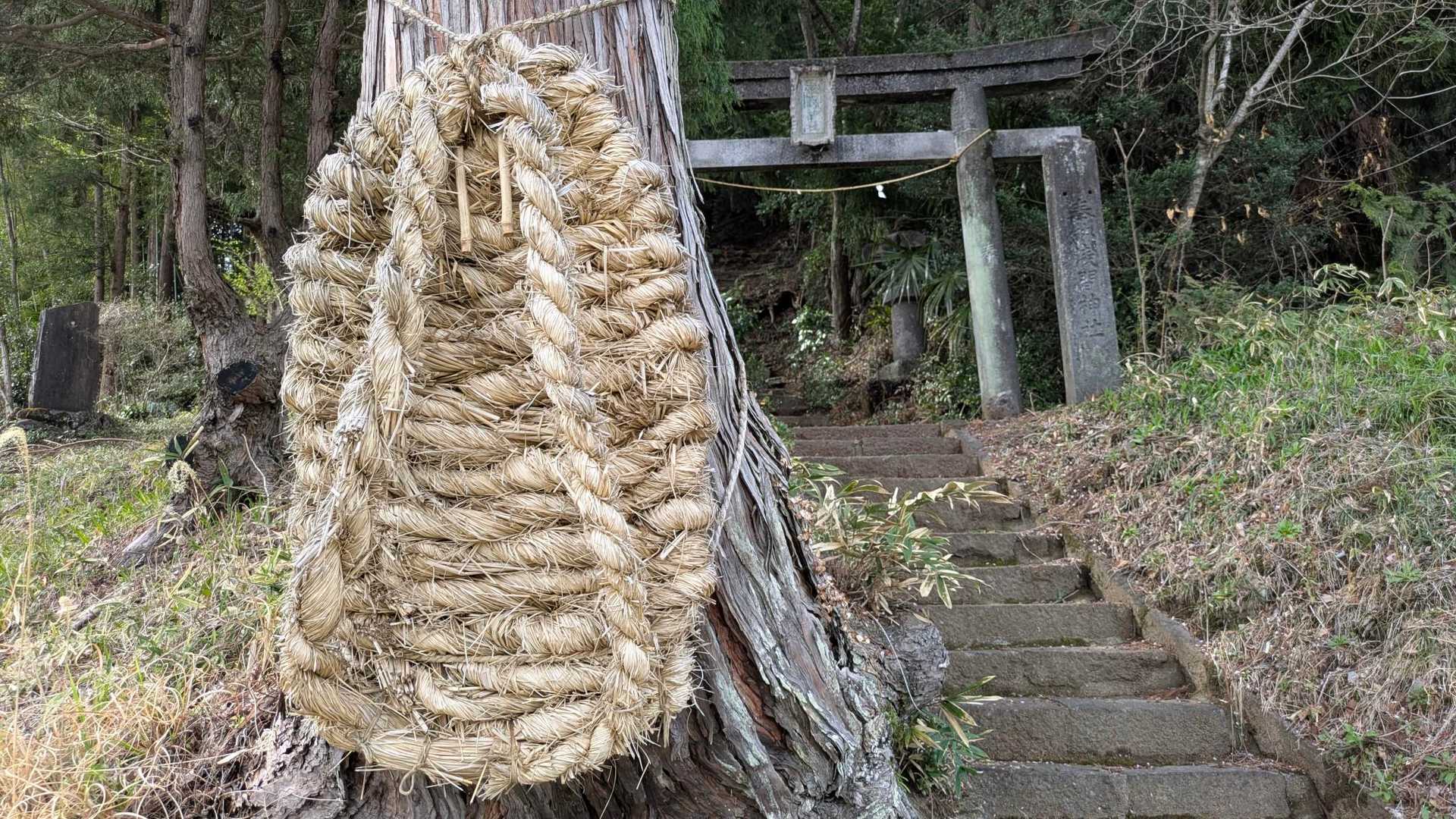 鳥居の前には、長さ三尺半(約106cm)×幅一尺半(45.5cm)の大わらじ😳
(案内板より)