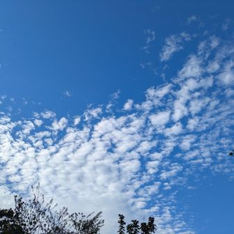 あえぇ空が気持ちいいから
走って下山してみよう٩( 'ω' )و