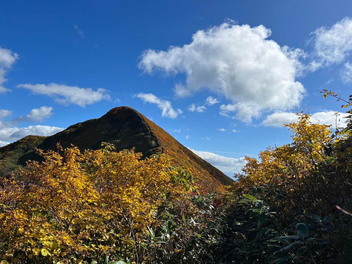 無事に分岐に戻って見納め