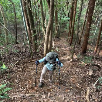 直登ルートなんでいきなり急登です↗️