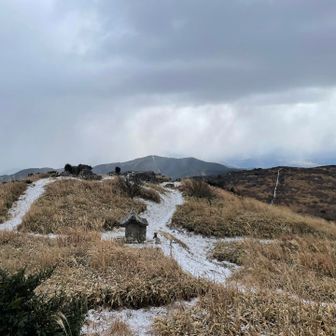 山頂は風も強くて寒いので塩大福と温かいお茶で少し休憩したらすぐ引き返しました。
行けたら行こう！と思ってた鷹取山へは行か(け)なかったのでまた次の機会の楽しみです😁