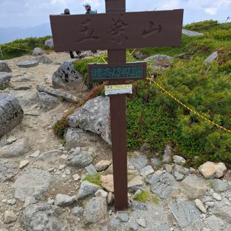 山頂に到着