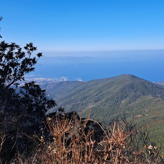 頂上からの眺め。