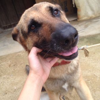 カチカチかんちゃん