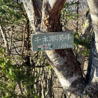 寄り道したピーク⛰️