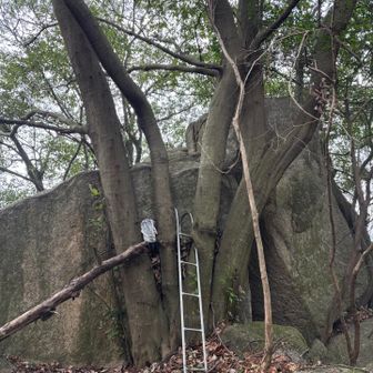 筑波山山頂

むむっ…