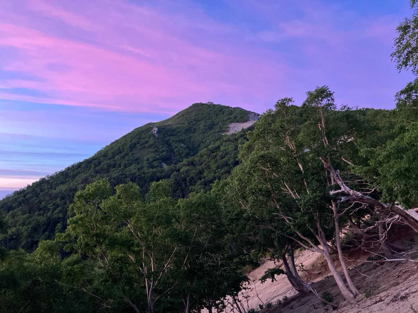 夜叉神峠登山口-夜叉神峠-杖立峠-薬師岳-観音岳-地蔵岳- 縦走コースの写真