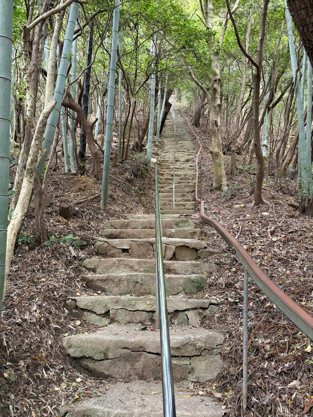 出た！階段地獄😳miuちゃんはここより手前のタケノコ死体転がりゾーンがめちゃ怖かったらしく、ずっと怖いと言っていた😆