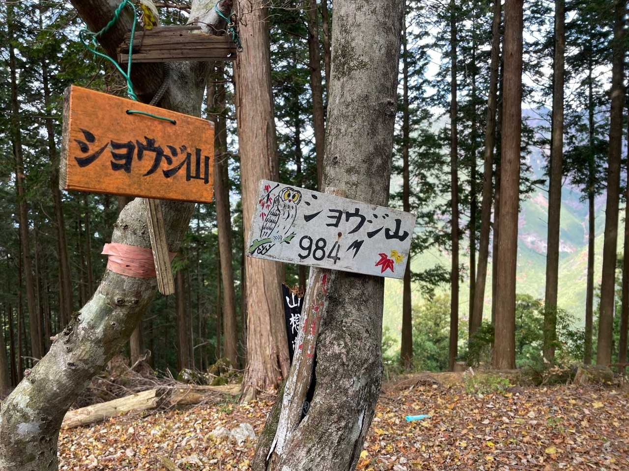 ここまで来れば一安心出来ました😮‍💨