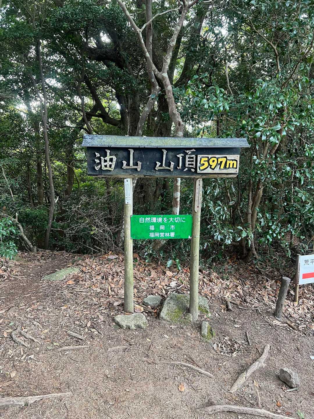 油山往復 | 福岡市街を見渡す定番ルートの写真