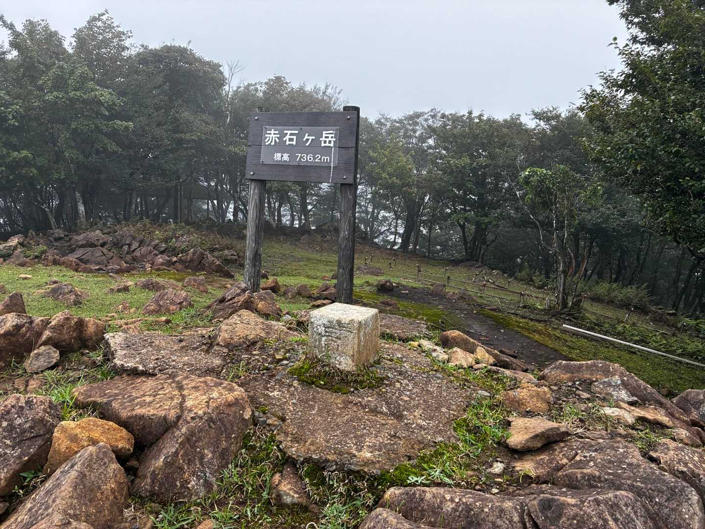 大江山 往復コースの写真
