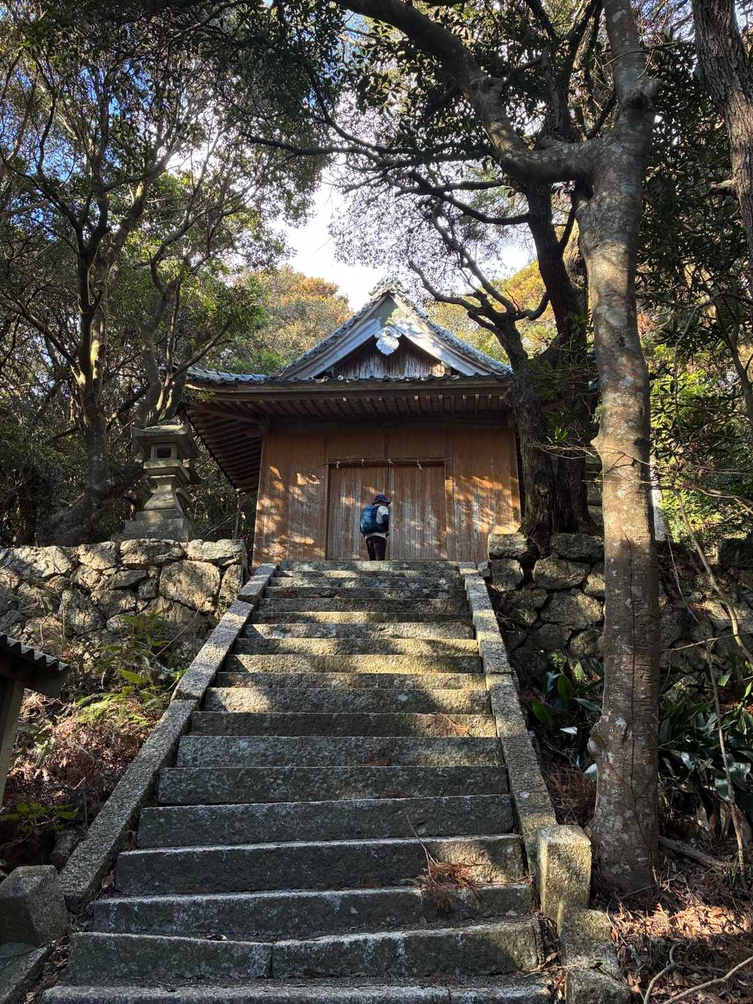 大山 往復コースの写真