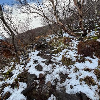 雪がちらほら❄️