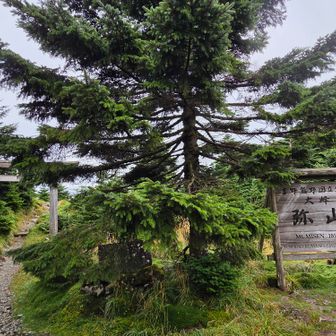 弥山に到着🎶