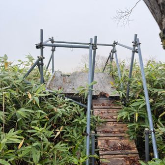 とっても危険な展望台⚠️