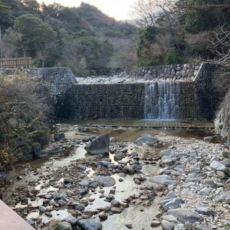 もしかしてこっちが本流？