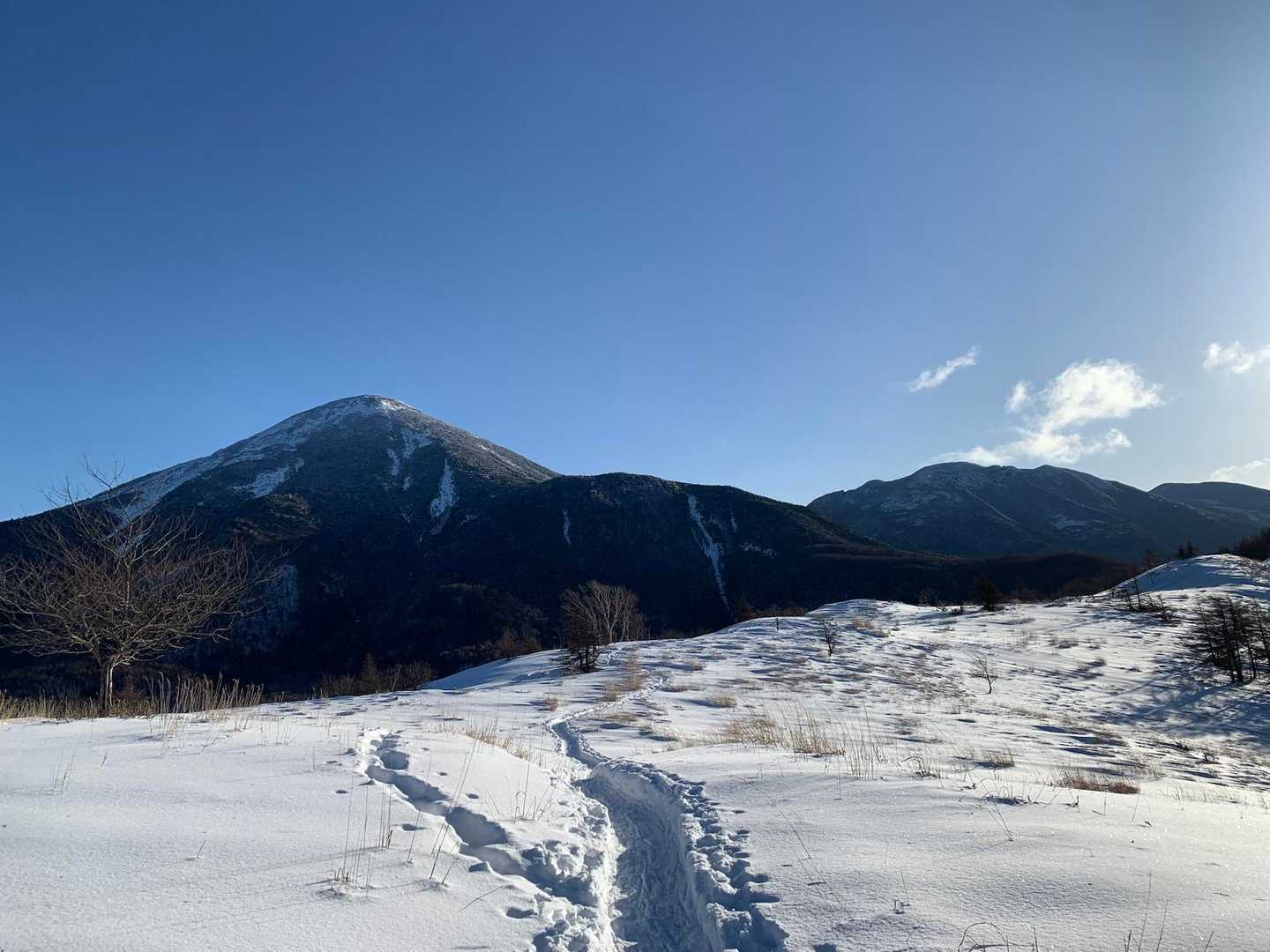 戻ってます。八ヶ岳の方を撮りたいけど、逆光で撮れていない。