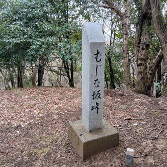 むじな坂峠　もしも狢坂46というアイドルグループがあったら､きっと···で、しばし盛り上がりました。