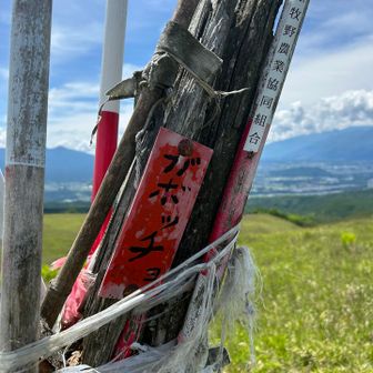 今月の41~42座目はカボッチョ東峰~ガボッチョの2座斬り⛰️🤺