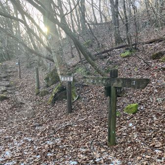 落ち葉🍂と霜柱