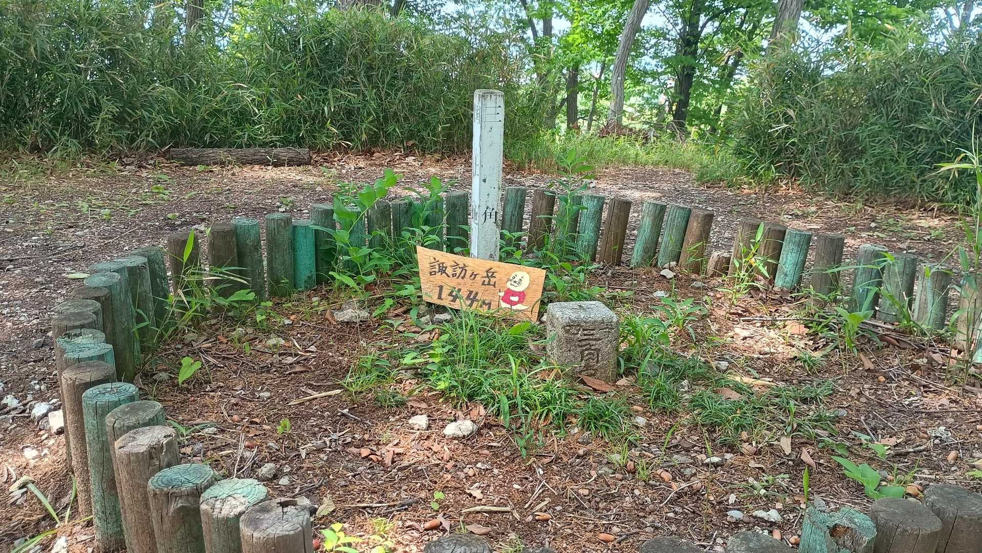 【フラット登山】巨大住宅団地　多摩ニュータウンを「縦走」するの写真