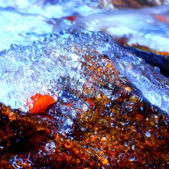 しばらく貸し切り状態