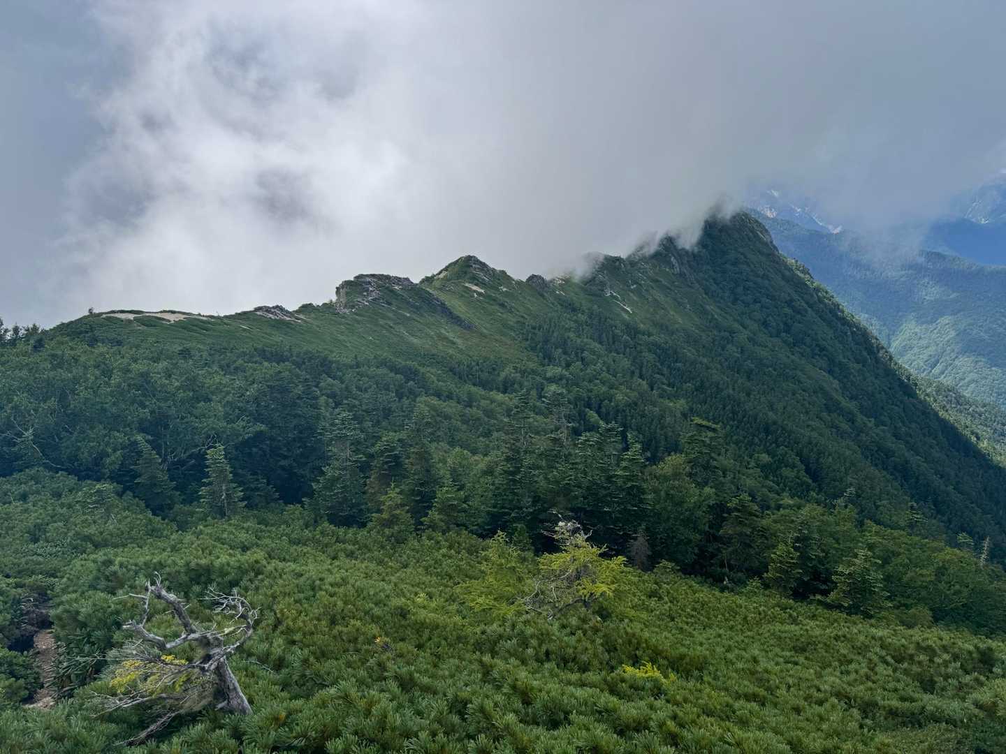 燕岳への稜線