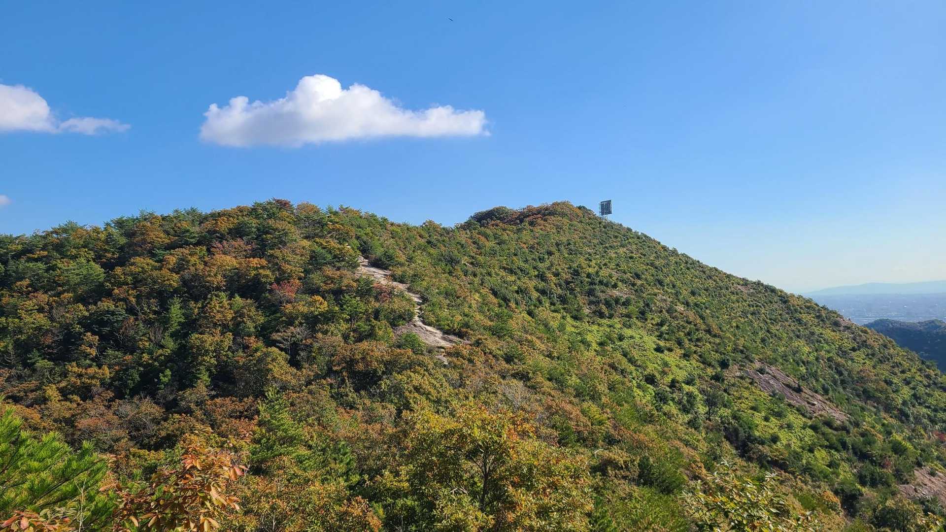 
先の右手反射板あたりが高御位山🎵